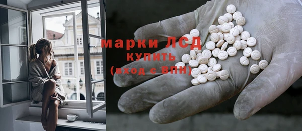 ПСИЛОЦИБИНОВЫЕ ГРИБЫ Вязники