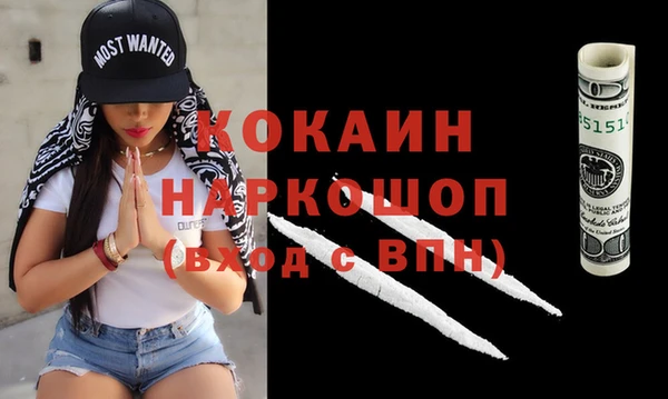 ПСИЛОЦИБИНОВЫЕ ГРИБЫ Вязники