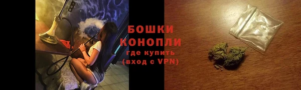 ПСИЛОЦИБИНОВЫЕ ГРИБЫ Вязники