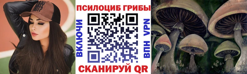 Псилоцибиновые грибы ЛСД  наркошоп  KRAKEN зеркало  Нахабино 